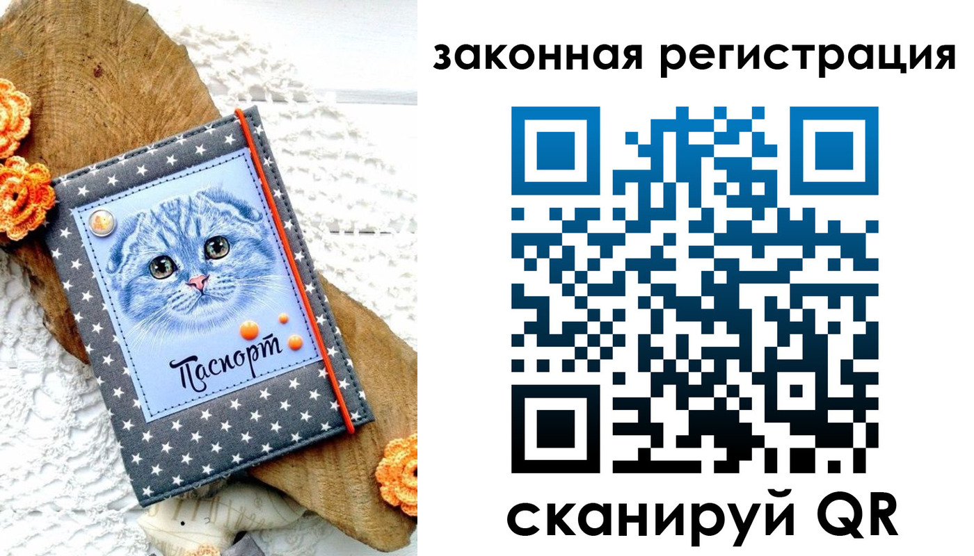 регистрация в Шуе